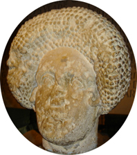 lady's head